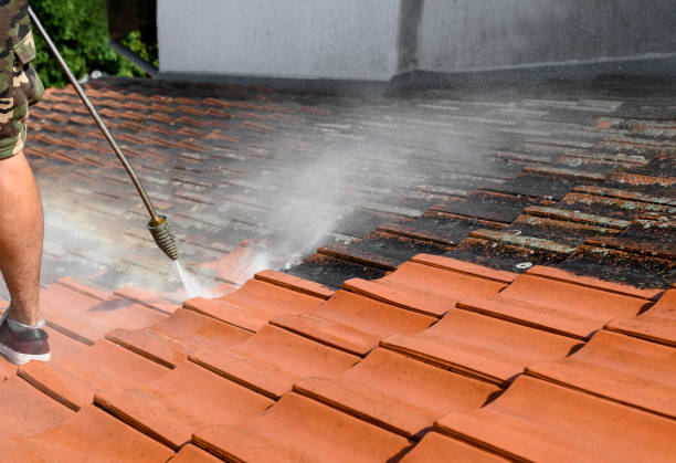 Best Pressure Washing Near Me  in Mount Hermon, VA
