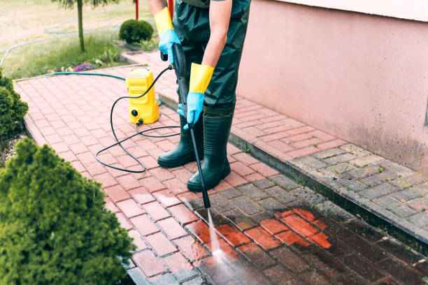 Best Pressure Washing Driveway  in Mount Hermon, VA